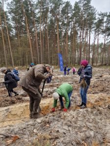 25. Lasy Pełne Energii Rybnik - galeria